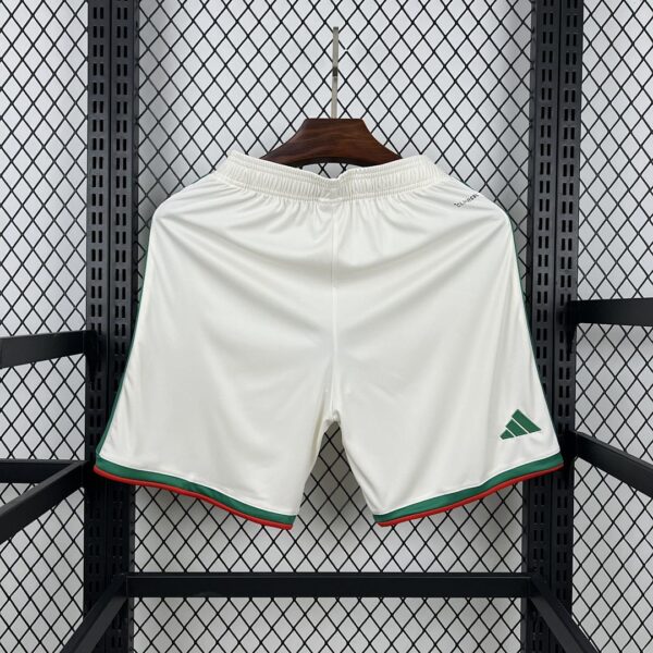 Camiseta Argelia 2026 Visita Version Jugador - vista frontal completa