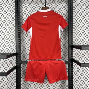 Camiseta Suiza 2026 Local - detalle escudo