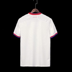 Camiseta Chile 2021/22 Visita Retro - detalle escudo
