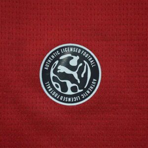 Camiseta República Checa Mundial 2026 Local - detalle escudo