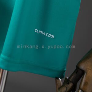 Camiseta España 2010