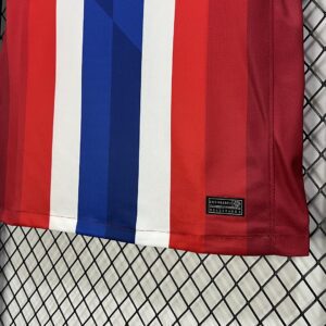 Camiseta Noruega 2024/25 Local - detalle