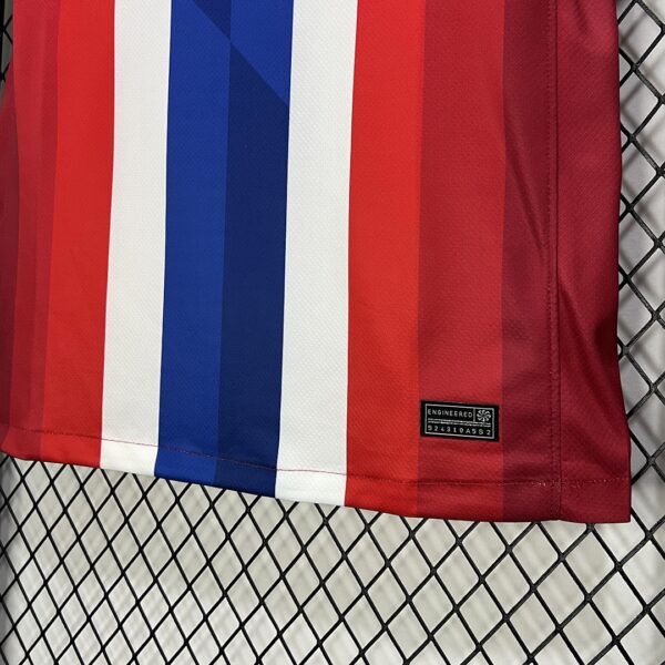 Camiseta Noruega 2024/25 Local - detalle