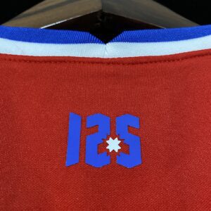 Camiseta Chile 2020/21 Local - detalle
