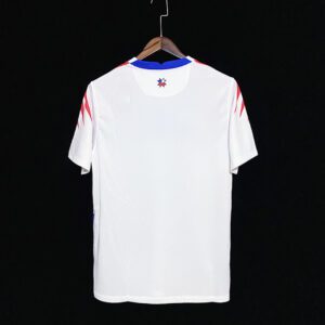 Camiseta Chile 2020/2021 Visita - detalle