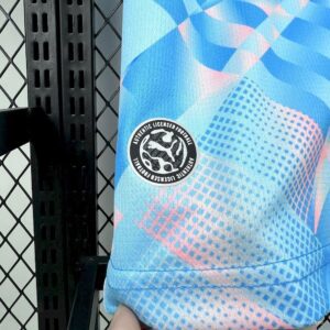 Camiseta Suiza Mundial 2026 Local - detalle logo Puma y bandera Suiza