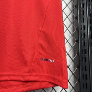 Camiseta España 2010