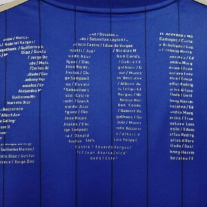 Camiseta Universidad de Chile 2021/22 Conmemorativa Manga Larga - detalle cuello