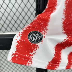 Camiseta Selección de Paraguay 2026 Local - detalle