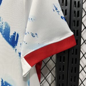 Camiseta Noruega 2024/25 Visita - detalle