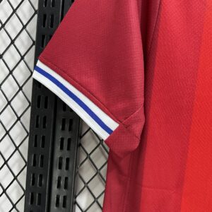 Camiseta Noruega 2024/25 Local - detalle