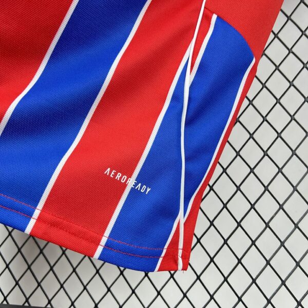 Camiseta Colo Colo 2025/26 Tercera - detalle