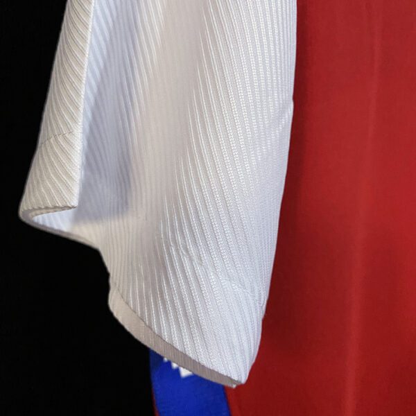 Camiseta Chile 2020/21 Local - detalle