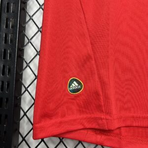 Camiseta España 2010