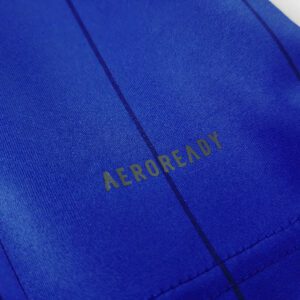 Camiseta Universidad de Chile 2021/22 Conmemorativa Manga Larga - detalle manga