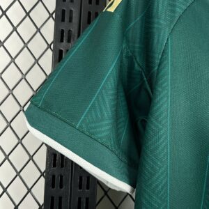 Camiseta Sudáfrica 2026 Visita - detalle cuello y hombro