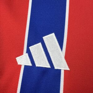 Camiseta Colo Colo 2025/26 Tercera - detalle