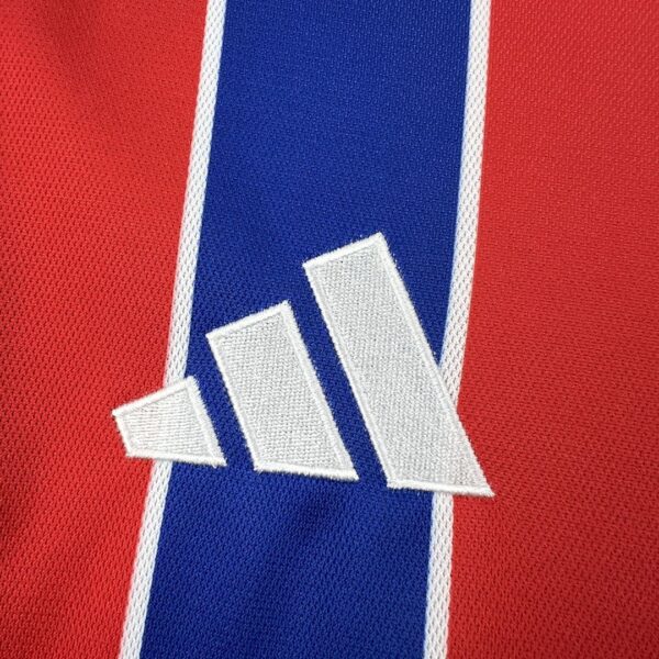 Camiseta Colo Colo 2025/26 Tercera - detalle