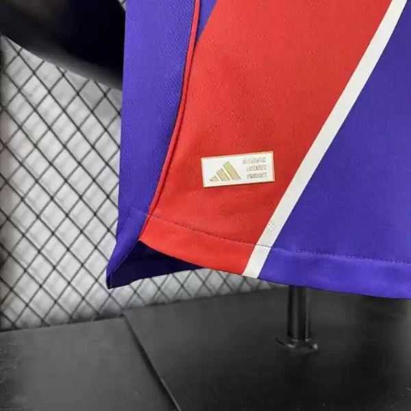 Camiseta River Plate 2025/26 Tercera Version Jugador - detalle