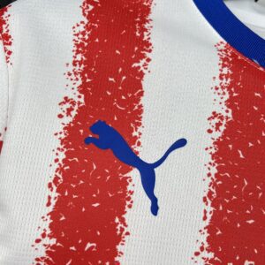 Camiseta Selección de Paraguay 2026 Local - detalle