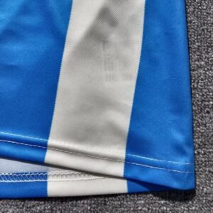 Camiseta Argentina Mundial 2026 Manga Larga Local - detalle