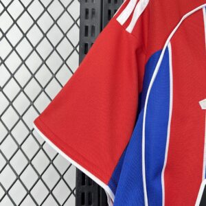 Camiseta Colo Colo 2025/26 Tercera - detalle