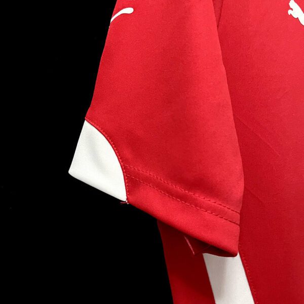 Camiseta Chile 2014 Local - detalle