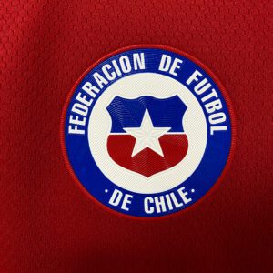Camiseta Chile 2021/2022 Local - textura del tejido